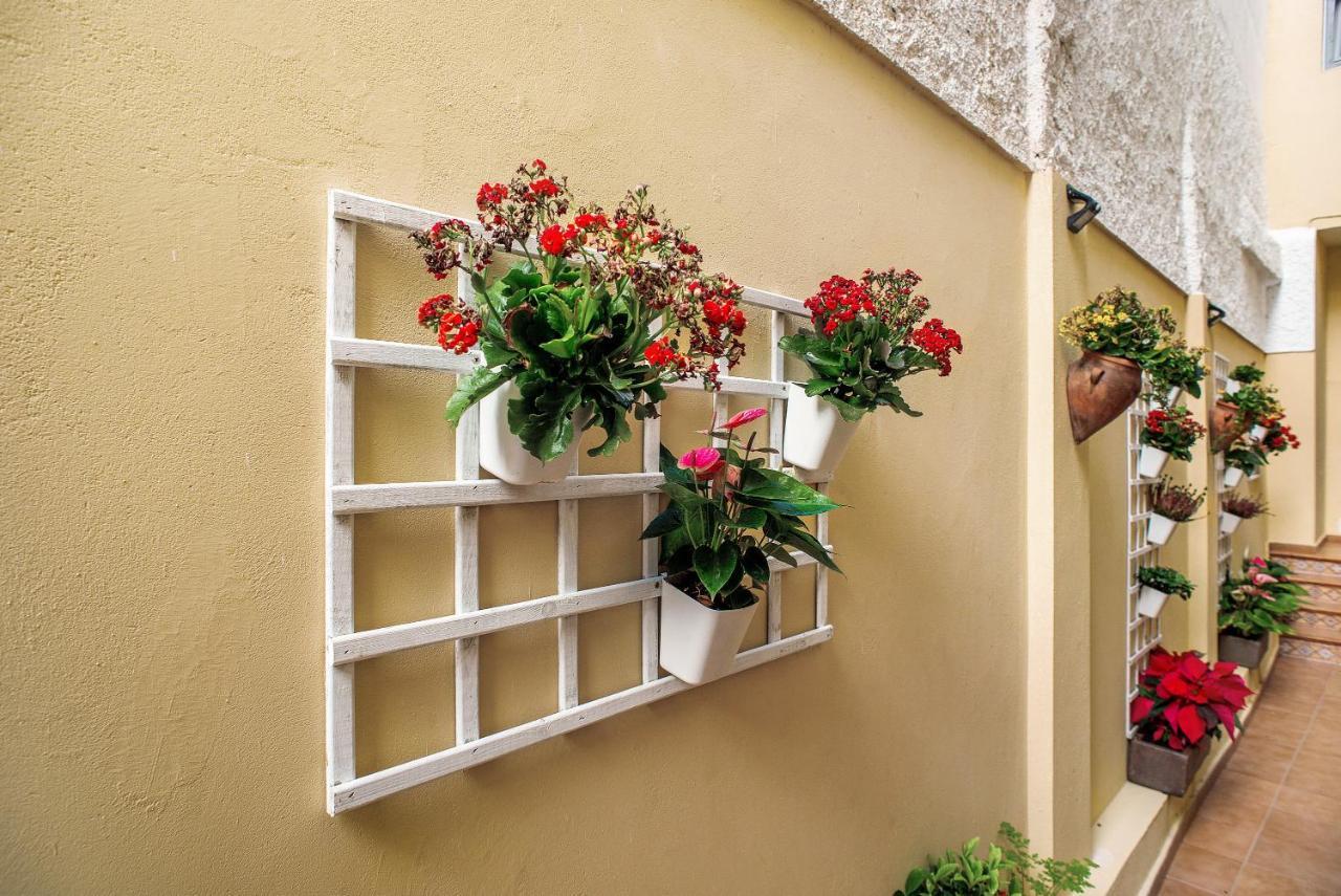 Las Sales Duplex Moya  Kültér fotó